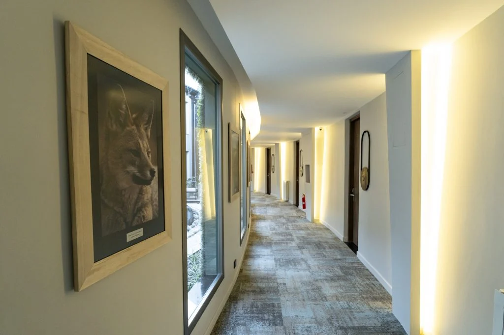 Domingo Design Hotel 12